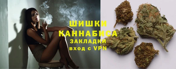 крисы Липки