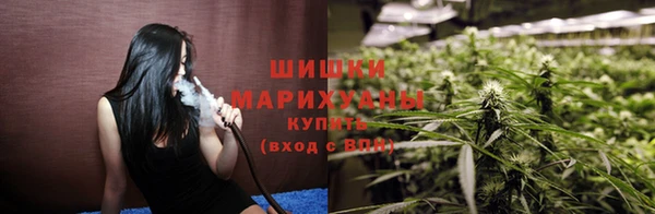 крисы Липки