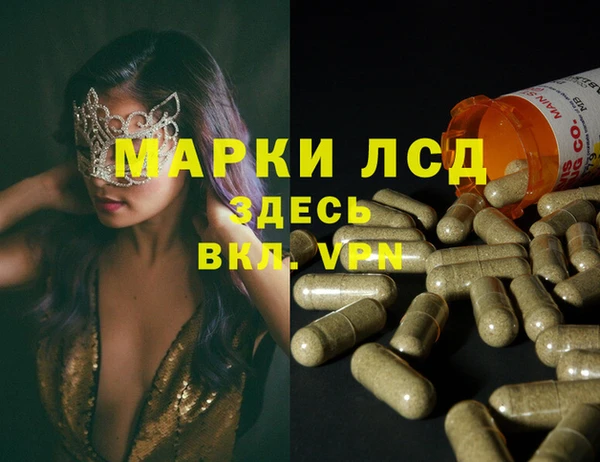 крисы Липки